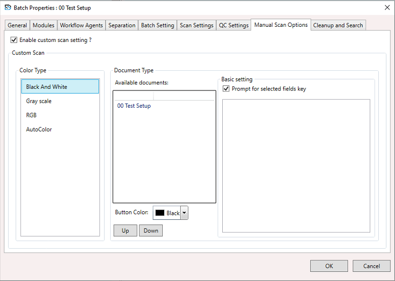 Batch Setup Manual Scan Options